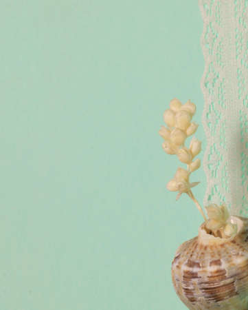 Decorative snail shell on colorful background with pearls and little hearts