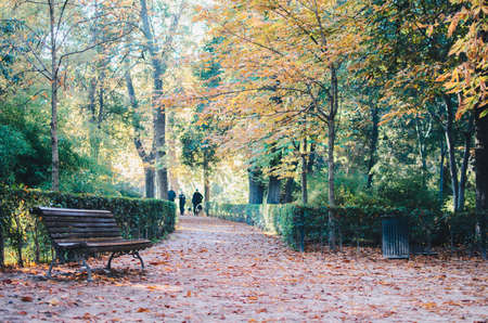 Autumn day in Parque del Retiro, Madrid