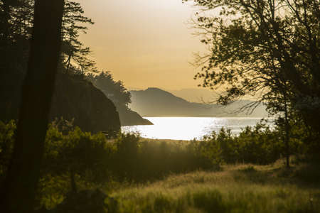 A beautiful shot of a sea near mountains and trees