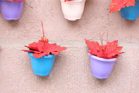 Colorful decorative pots with red leaves on a wallの写真素材