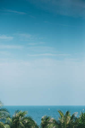 A vertical shot of the beautiful calm sea with peaceful clear blue sky and palm trees at the bottomの写真素材