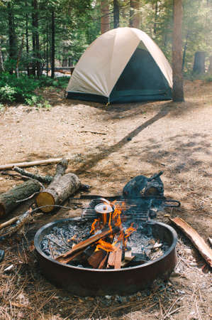 A bonfire and a camp in a forest set by hikersの写真素材