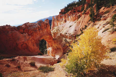 A beautiful shot of the Bryce canyon, natural bridge in Autumn. on a sunny day