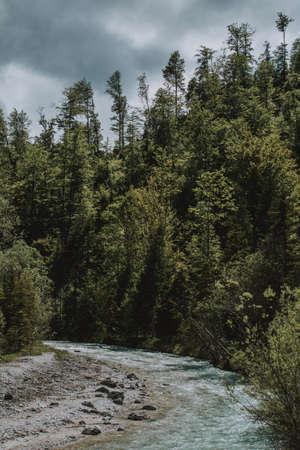 A beautiful shot of the scenery of the lake and forest with greenery