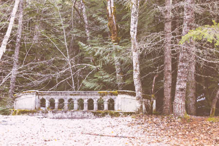 A little stone bridge next to a thick forest