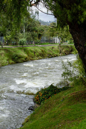 A beautiful river going through a countryside town parkの写真素材