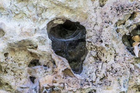 A closeup shot of a spider web in white stonesの写真素材