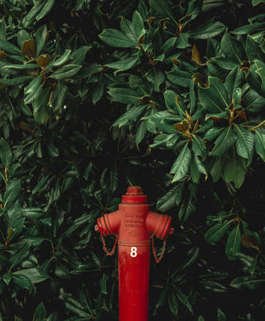 Red pipe surrounded with green plantsの写真素材