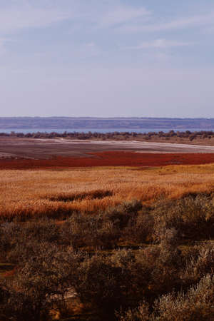 Vast lands covered by dried out yellow and red grass with the sea and clear sky in the background in...