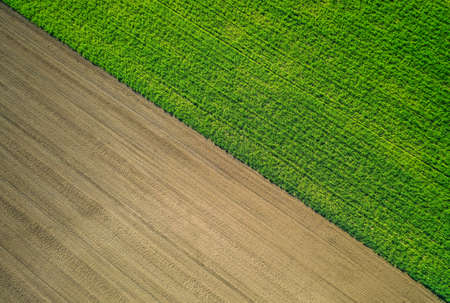A beautiful aerial shot of a green agricultural field