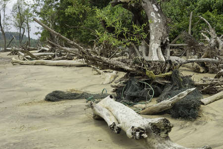 discarded fishing gear washed up on the north bank of the estuary of Cayenne River, Franch Guiana