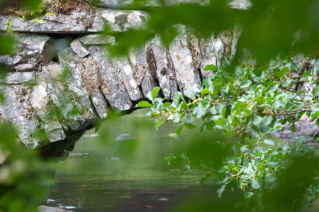 A beautiful shot of blurred leaves focused on an old brick bridge