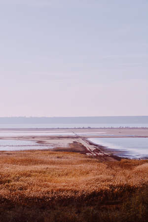 Vast lands covered by dried out grass with the sea and clear sky in the background in wintertime