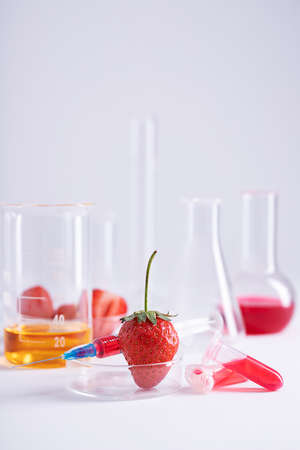 A vertical shot of the working space for a strawberry DNA extraction experiment at a lab