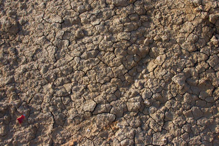 The texture of the soil when it gets dry and cracks