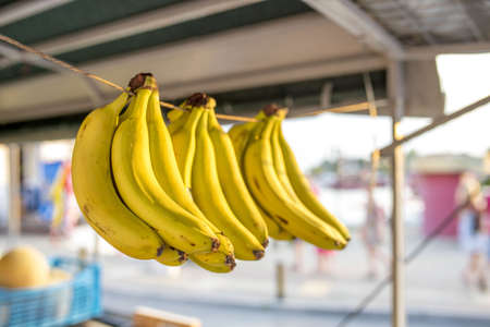 A closeup shot of fresh bananas hanging on a rope outdoors in the marketの写真素材