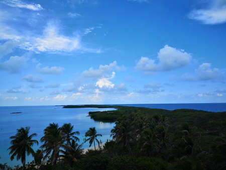 An aerial shot of a forested seashore with the blue sea on the backgroundの写真素材
