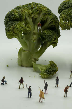 A scale model of miniature characters looking at a miniature man sitting on a broccoli