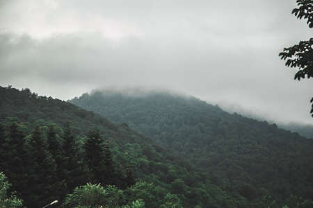 Beautiful shot of hills and skies