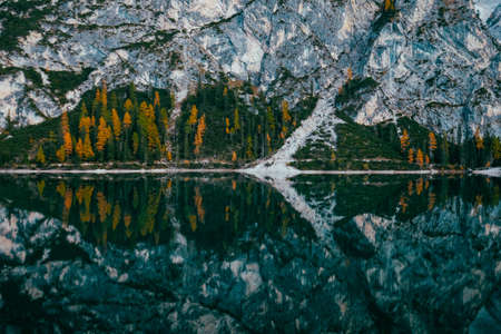 A long range shot of yellow and green pine trees near the water and mountain