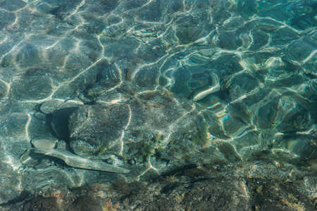 A high angle shot of the sandy ground under the transparent water