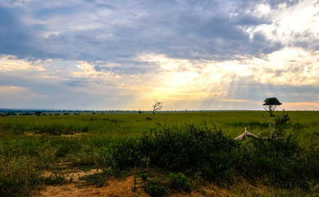 A grassy field with trees and a sun shining through the clouds