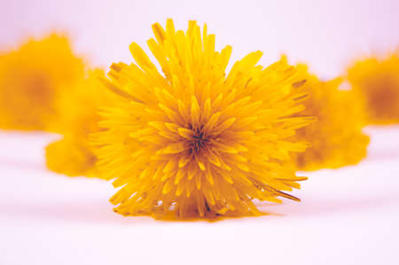 A closeup of beautiful yellow flowers on a white surface with a light pink background