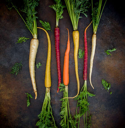 Carrots of different colors with roots laid on a dark brown surface