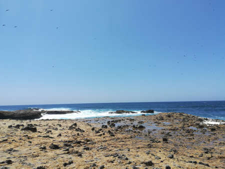 A scenic view of a rocky shore with clear skyline and flying birds in the sky