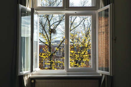An eye-level shot of an open window looking at a tree with yellow leaves with building in the...