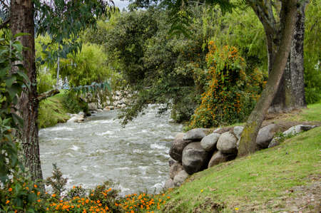 A beautiful river going through a countryside town parkの写真素材