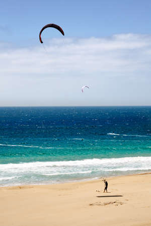 A vertical shot of a male kite running in a sandy beachの写真素材