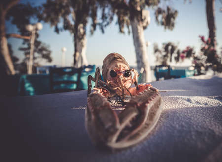 A closeup of a crayfish on a table at a beach restaurantの写真素材