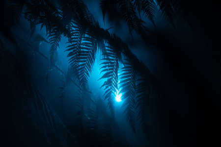 The beautiful exotic leaves in a tropical forest with a blue light shining nearの写真素材