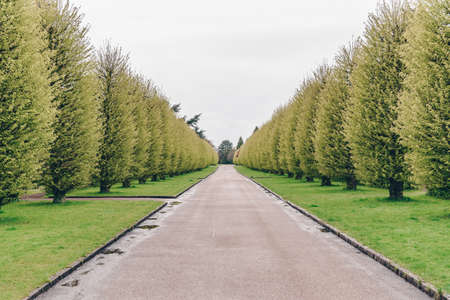 A beautiful view of trees along the roadの写真素材