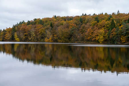 A beautiful scenery of a range of autumn trees reflecting in the lake at daytimeの写真素材