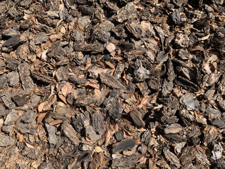 An overhead shot of the wooden sticks on the ground captured during the daytime