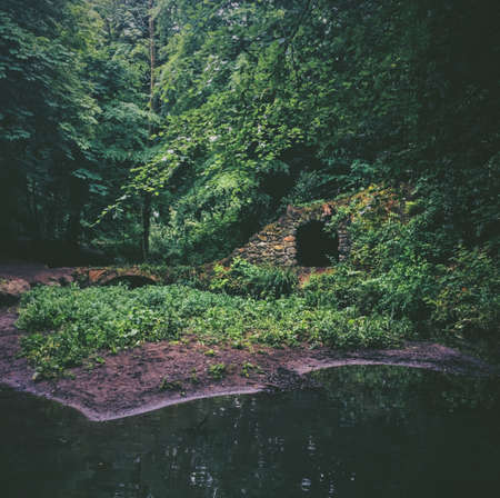 A pond in the forest near the tunnel and small bridge surrounded by trees