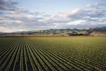 An aerial shot of a beautiful agricultural green field near mountainsの写真素材