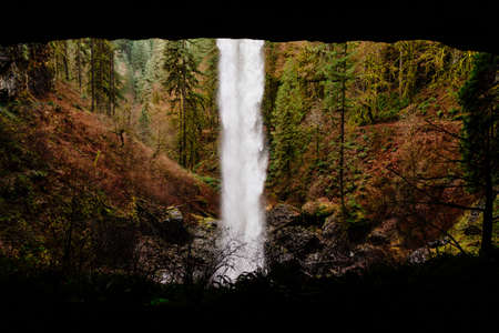 A beautiful waterfall in a rocky forest surrounded by greenery