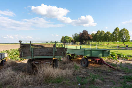 The green-colored tractor-trailers in a field captured on a sunny dayの写真素材