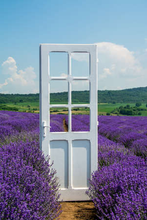 A vertical shot of a wooden white door in a lavender fieldの写真素材