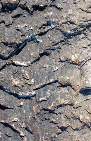 A vertical shot of a textured wall - perfect for a background