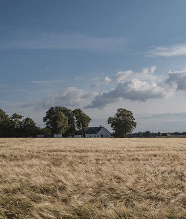 A beautiful wide shot of a dry grass field with a house in the background and amazing cloudy sky