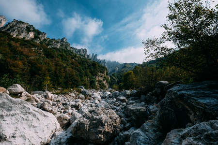 A beautiful shot of rocks in the middle of trees and mountain in the distanceの写真素材