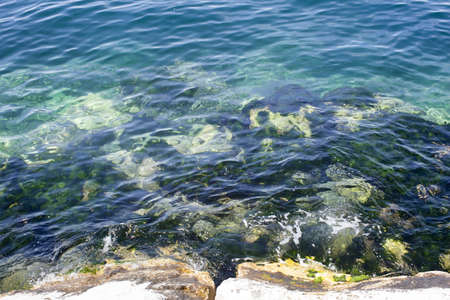 A colorful shot of mossy rocks under bright seawater