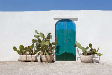An eye-level shot of a blue to green gradient door on a white wall next to cactus plants in Santorini, Greeceの写真素材