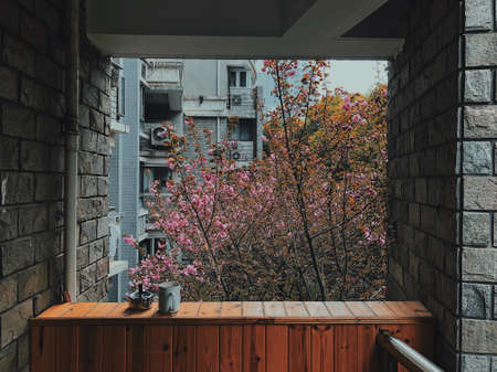 A beautiful blooming tree outside a wooden balcony in Chinaの写真素材