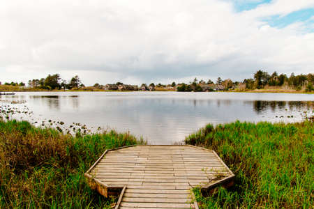 A beautiful shot of a wooden dock at a lake in a forestの写真素材
