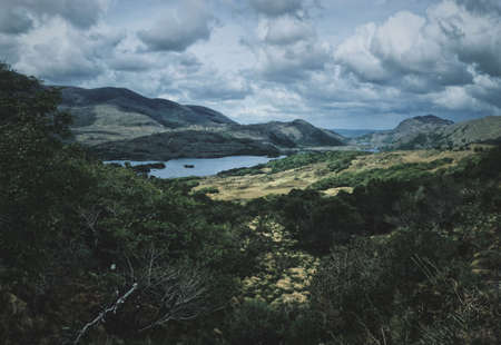 A trees and a dry grass field near a lake with a mountain in the background on a cloudy dayの写真素材